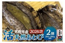 《2026年7月中旬～8月下旬発送》男鹿産天然鮑 1～3個 (約450～500g) あわび アワビ 秋田 男鹿産