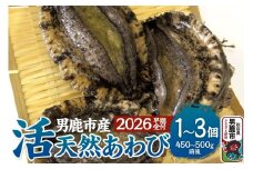 《2026年7月中旬～8月下旬発送》男鹿産天然鮑 2個 (約250～280g) あわび アワビ 秋田 男鹿産