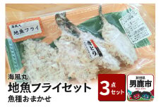 海風丸「地魚フライ」セット 魚種はおまかせ 秋田県 男鹿市