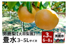 【先行受付】男鹿梨 「大将梨園」豊水 約3kg 6～8玉 3～5L 梨 秋田県 男鹿市