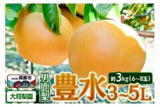 【先行受付】9月中旬～下旬発送 男鹿梨「大将梨園」豊水 約3kg 6～8玉 3～5L 梨 秋田県 男鹿市