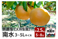 【先行受付】男鹿梨 「大将梨園」南水 約2.5kg 5～8玉 3～5L 梨 秋田県 男鹿市 旬の果物
