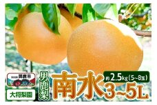 【先行受付】10月中旬～下旬発送 男鹿梨「大将梨園」南水 約2.5kg 5～8玉 3～5L 梨 秋田県 男鹿市 旬の果物