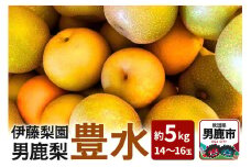 【先行受付】男鹿梨 「伊藤梨園」の豊水 梨 約5kg 2L 14～16玉 秋田県 男鹿市 旬の果物 2025年9月下旬以降出荷