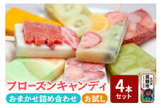 フローズンキャンディ おまかせ 4本 お試しセット ゴンタロー 秋田県 男鹿市 ゴンタロー