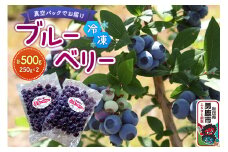 【男鹿ぶるーべりーガーデン】 冷凍ブルーベリー 250g×2パック（合計500g）秋田県 男鹿市
