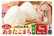 令和7年産 新米【白米】家計お助け米 あきたこまち 5kg 秋田県 男鹿市 こまちライン