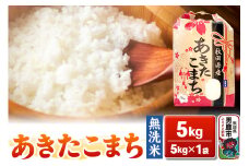 令和6年産【無洗米】秋田県産 あきたこまち 5kg 秋田県 男鹿市 こまちライン