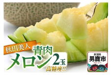 R7年度産 先行受付 メロン2玉（秋田美人） 秋田県 男鹿市