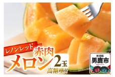 R7年度産 先行受付 メロン2玉（レノンレッド） 秋田県 男鹿市