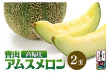 R7年度産 先行受付 メロン2玉（アムス） 秋田県 男鹿市