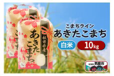 令和6年産【白米】秋田県産 あきたこまち 10kg（5kg×2袋）秋田県 男鹿市 こまちライン