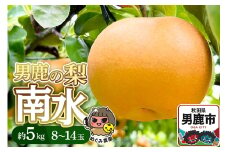 【先行受付】男鹿の梨 南水 約5kg 8～14玉 梨 秋田県 男鹿市 ＜めぐみ農園＞10月上旬より発送