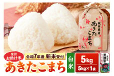 《令和7年産 新米受付》【白米】家計お助け米 あきたこまち 5kg 秋田県 男鹿市 こまちライン