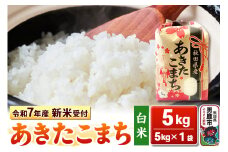 《令和7年産 新米受付》【白米】秋田県産 あきたこまち 5kg 秋田県 男鹿市 こまちライン