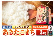 令和7年産 新米【無洗米】秋田県産 あきたこまち 3kg 秋田県 男鹿市 こまちライン