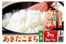 令和6年産【白米】秋田県産 あきたこまち 3kg 秋田県 男鹿市 こまちライン
