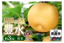 先行受付 男鹿の梨 豊水 約3kg 6玉 梨 秋田県 男鹿市 ＜めぐみ農園＞