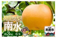 先行受付 男鹿の梨 南水 約3kg 6玉 梨 秋田県 男鹿市 ＜めぐみ農園＞