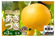 先行受付 男鹿の梨 あきづき 約3kg 6玉 梨 秋田県 男鹿市 ＜めぐみ農園＞
