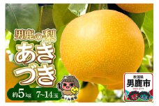 先行受付 男鹿の梨 あきづき 約5kg 7～14玉 梨 秋田県 男鹿市 ＜めぐみ農園＞