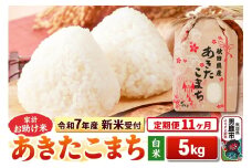 《令和7年産 新米受付》《定期便11ヶ月》【白米】家計お助け米 あきたこまち 5kg