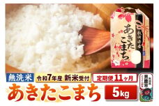 《令和7年産 新米受付》《定期便11ヶ月》【無洗米】秋田県産 あきたこまち 5kg