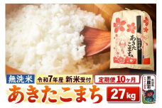 《令和7年産 新米受付》《定期便10ヶ月》【無洗米】秋田県産 あきたこまち 27kg