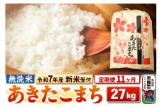 《令和7年産 新米受付》《定期便11ヶ月》【無洗米】秋田県産 あきたこまち 27kg
