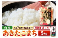 《令和7年産 新米受付》《定期便8ヶ月》【白米】秋田県産 あきたこまち 5kg
