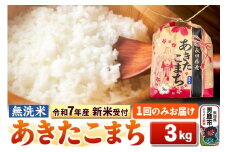 《令和7年産 新米受付》【無洗米】秋田県産 あきたこまち 3kg 秋田県 男鹿市 こまちライン