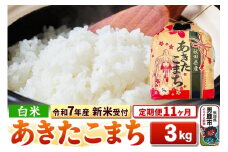 《令和7年産 新米受付》《定期便11ヶ月》【白米】秋田県産 あきたこまち 3kg 秋田県 男鹿市 こまちライン