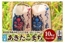 【先行受付】令和7年産 あきたこまち 精米 単一原料米 10kg（5kg×2袋）秋田県 男鹿市