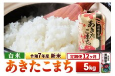 《定期便12ヶ月》令和7年産 新米 【白米】秋田県産 あきたこまち 5kg