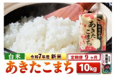 《定期便9ヶ月》令和7年産 新米 【白米】秋田県産 あきたこまち 10kg（5kg×2袋）