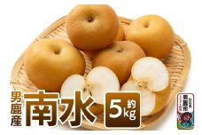 《先行受付》南水 約5kg 10月中旬～11月中旬発送 梨 旬の果物 ギフト 秋田県 男鹿市 男鹿ファーム直売所