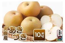 あきづき 約10kg 10月上旬～10月中旬発送 梨 旬の果物 ギフト 秋田県 男鹿市 男鹿ファーム直売所