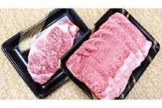 みなせ牛特選ステーキ＋味わい肩ロースセット【みなせミートセンター】[H03-1801]