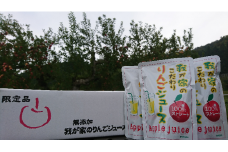 三関産ふじ100％リンゴジュース【奥山農園】[B1-10401]