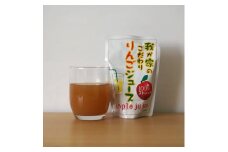 サンふじ100％ジュース(25袋)【佐藤果樹園】[B11103]