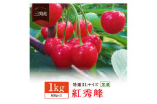 ＼朝採れ 産地直送／ R7年度産 紅秀峰 特選 3L 1kg 市場価値の高い 三関産 さくらんぼ こだわりの【常温】でお届け 家庭用 フルーツ 果物 お取り寄せ 秋田 湯沢市 期間限定 サクランボ【奥山果樹園】[N6-7801]