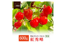 ＼朝採れ 産地直送／ R7年度産 紅秀峰 秀 2L 600g 市場価値の高い 三関産 さくらんぼ こだわりの【常温】でお届け 家庭用 フルーツ 果物 お取り寄せ 秋田 湯沢市 期間限定 サクランボ【奥山果樹園】[B9-7801]