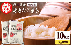 秋田県産あきたこまち 10kg 5kg×2袋 無洗米 令和6年産 新米 あきたこまち 米 ふるさと納税 ふるさと 人気 ランキング 【こまち農業協同組合】[H91-2501]