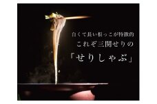 ＼TV青空レストランに登場／ 三関産 せり鍋 セット 3～4人前 (せり1kg 比内地鶏鍋つゆ) 生産者直送 セット ご自宅で絶品の せりしゃぶ が楽しめる せり鍋 ふるさと納税 せり 鍋 鶏 ふるさと 人気 ランキング 【株式会社CRAS】[B46-10901]