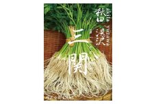 ＼TV青空レストランに登場／ 贅沢 三関産 せり鍋セット 3～4人前 (せり1kg 比内地鶏鍋つゆ 稲庭うどん 生麺 ) 生産者直送 ご自宅で絶品の せりしゃぶ が楽しめる せり鍋 ふるさと納税 せり 鍋 鶏 ふるさと 人気 ランキング 【株式会社CRAS】[B7-10901]