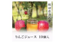 りんごジュース 10個入【まるてつ果樹園】[J4803]