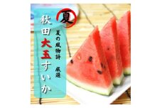 すいか 秋田県産 大玉スイカ 夏丸 家庭 ギフト 旬 夏 贈答 1玉 風物詩【BARU バイオジャパン吉村株式会社】[B3-9903]
