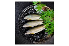 【夏季限定】生鮎・天然仕立て《こまち鮎》活〆5匹 熨斗対応可【(有)鮎乃家】[B15-4201]