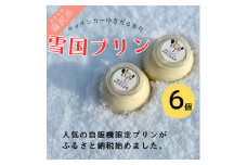 人気の雪国くちどけなめらか極上プリン ６個入【株式会社佐藤縫製】[B27-13701]