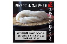 いなにわうどん 500g×2袋 チャック付 約11人前【(一社)湯沢市観光物産協会】[A7504]